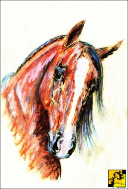 Western oo
