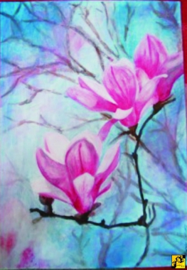 magnolia