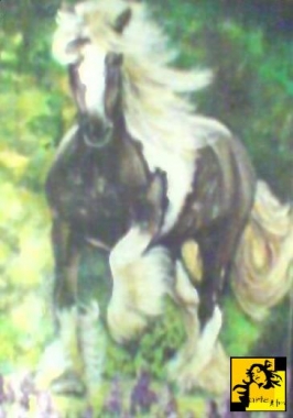 KOŃ