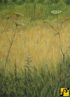 Łąki IV