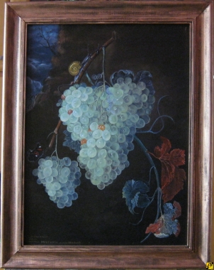 Winogrono