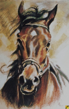 El Zahra