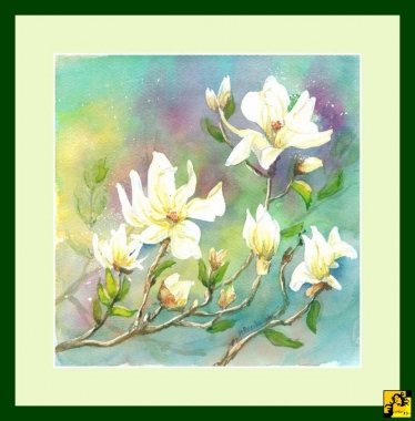 Białe magnolie