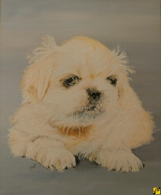Cezar