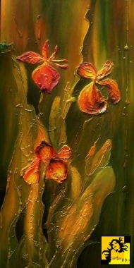 ...irysy II