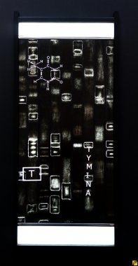 Muko3