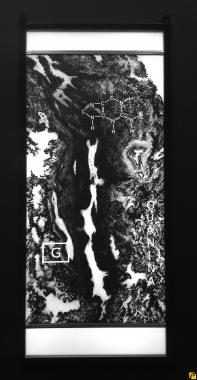 Muko4