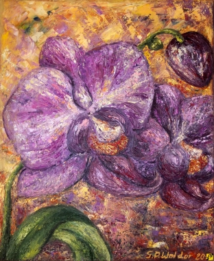 Fioletowy storczyk