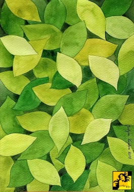 Zielone 