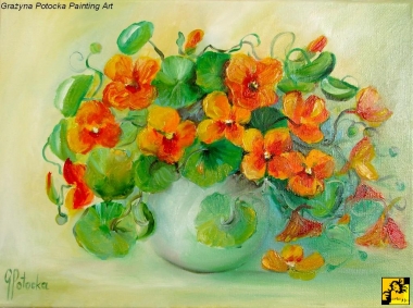Nasturcje 30-40cm