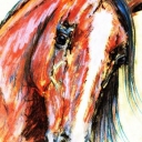 Western oo