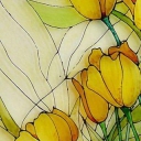 Tulipany