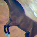 Koń