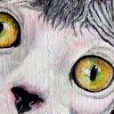 sphynx