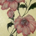 Cherry blossom 