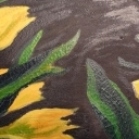 tulipany