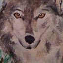 Wilk