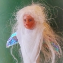 White moth