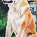 Hachi
