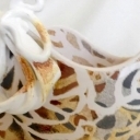 Laceformis waza