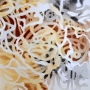 Laceformis patera
