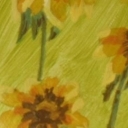 Rudbekie