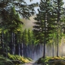 Teren prywatny