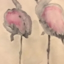 flamingi 