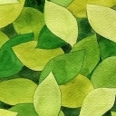 Zielone 