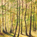 Wiosenny las