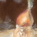 cebula